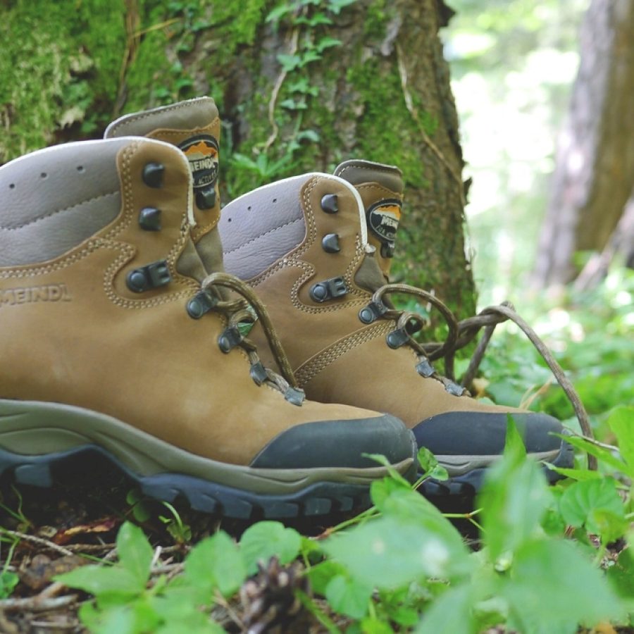 Sepatu Trekking Rimba Trail